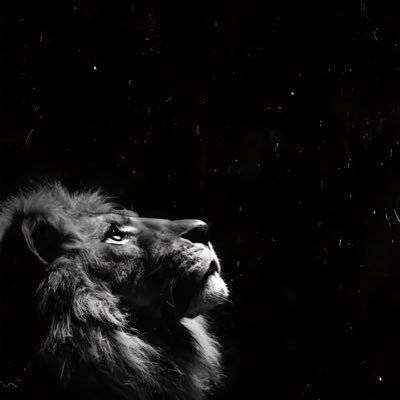 EdsondeAssisJr's profile picture. 