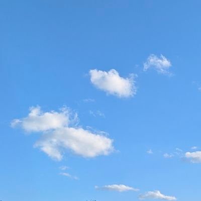 username8885544's profile picture. ✝️🇺🇲