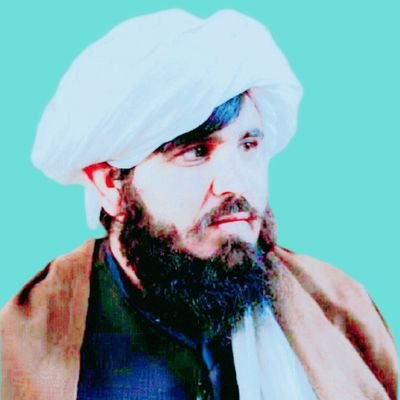 د احصاٸیي او معلوماتو ملې ادارې د ریاست معاوېن ۔