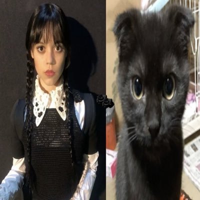 @loatheluvv gf !! † ₊ ୨ ʚ . ɞ ୧ ₊ † she/they • superduper pawsome !!! 🐾 repost warrior