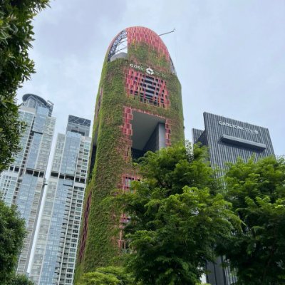 DearCashmer's profile picture. I don't have a glass heart, I have a titanium heart with a bulletproof layer🛡️😂