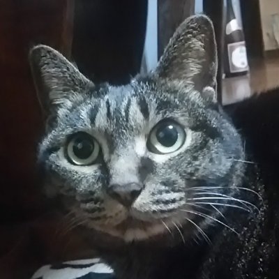 glassevolve's profile picture. 