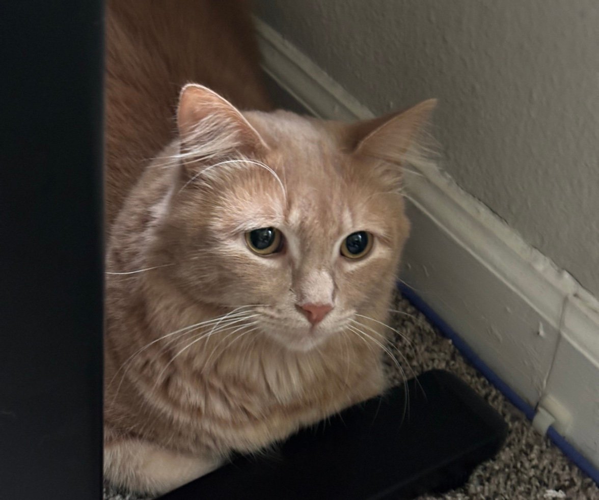 yourthebest777's profile picture. 