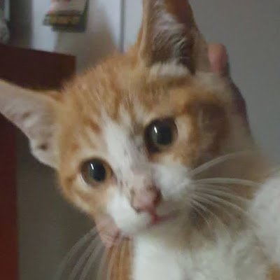 byeongmini44357's profile picture. 