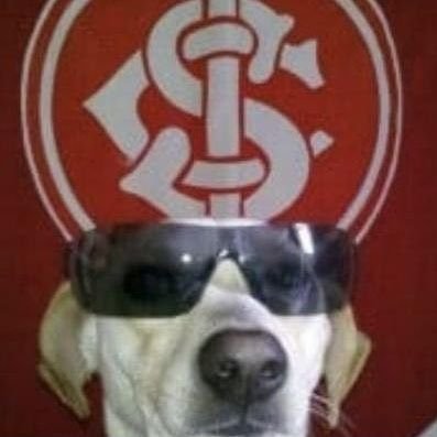 utfpr - eng. elétrica 10/10😼 😼 https://t.co/x7eZRfKXNm
