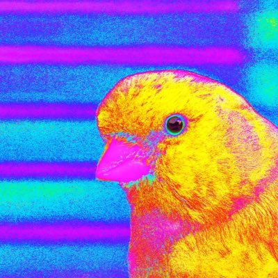 coalepse's profile picture. good morning people