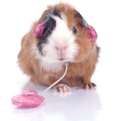 gar1won2's profile picture. 포스타입 엔터 12번째 데뷔 멤버