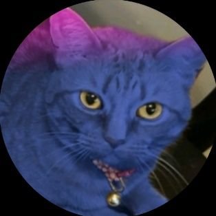 HapoLazee68539's profile picture. ceo