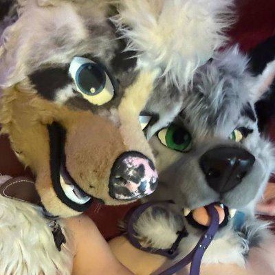 AD of @Ashes_Wolf &
❤ @Blizz_Doggy
Bi/Pan
🐺 32 & ️🐶 38 in human years
🔞18+ #NSFW