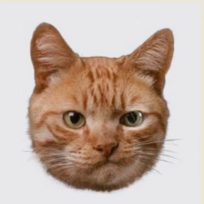 NNNNN_miii's profile picture. shipper/30↑/🏁👔♠️/🐶🪡ﾘｸｸﾘ/TGM🧊🐺/🇬🇧🕵️‍♂️/洋画とバスケが酸素/わりとなんでも美味しく食べます。フォローリプライリポストお気軽に〜