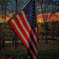 Robert Fedor ๐บ๐ฒ (@robfedor) 's Twitter Profile