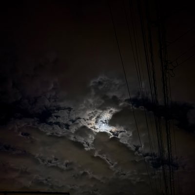 tkfm0222's profile picture. 久しぶりに使ってます。