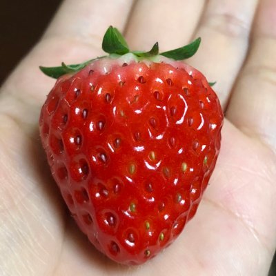 sonuHarvey's profile picture. 私の趣味は幅広いです:旅行、グルメ、映画、アニメ、ゲーム、仕事ww😊✨🎊