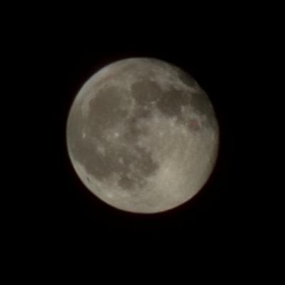 MarcosT44704473's profile picture. Semper Fidelis. 1A, 2A. Pureblood. 🚫 DM.