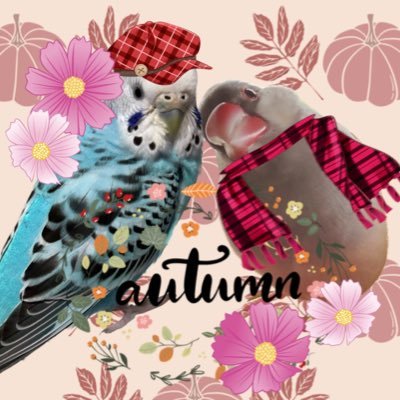 ˎ₍•ʚ•₎ˏつぐみˏ₍•ɞ•₎ˎさんのプロフィール画像