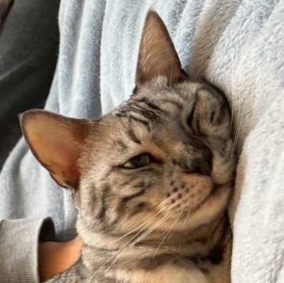 aru213pkmm's profile picture. モンハンとかスマブラとかやってます
CODMもちょいちょい