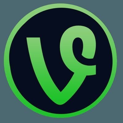 I'M THE $VINE CHEF!
RESTAURANT OWNER + FOOD TRUCK OWNER + PHOTOGRAPHY + ART CONTENT CREATOR + CRYPTO + $VINE TRIBE 420 +$VINE TRIBE CULINARY
DO IT FOR THE VINE