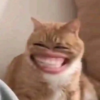 teathetics's profile picture. me and my messy life against the world.