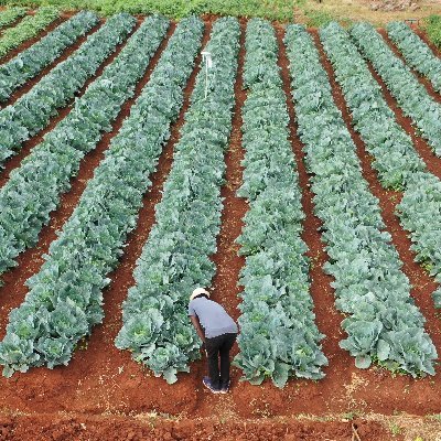 KenaravaGroup's profile picture. Kenarava helps clients deliver high-impact, locally grounded solutions that accelerate the success of agro-climate and social impact initiatives across Africa