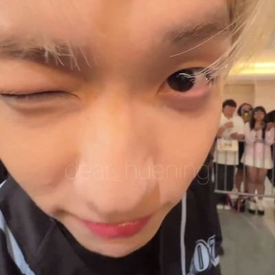 saw ive, zayn, txt y tuve una videollamada con morat