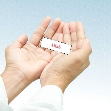 MDBELAL89999519's profile picture. My Dream 𝐁𝐏𝐒𝐂