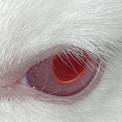 Fvck_Anxious's profile picture. Angústia na mais pura forma.