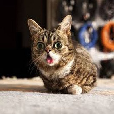 AntonStano86679's profile picture. 