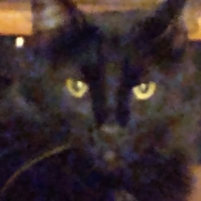 rconner51's profile picture. 