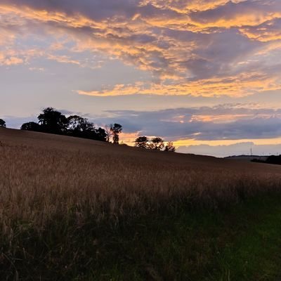 Harzerjung176's profile picture. Naturfreund Sportler Konserativer