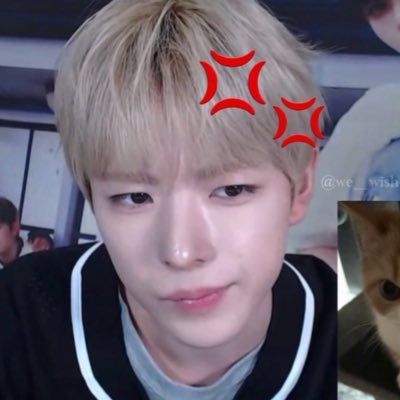 I only stan hot people: EXO🐻🐰🍒🐧🐣🐑 and nct wish YUSHI⭐️🐈 + 🐈⬛🦭🥐