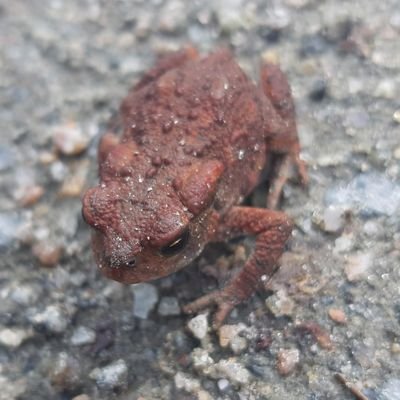 Lutfiskn's profile picture. 