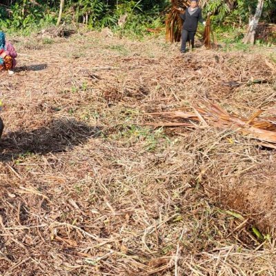 raihan_yud16665's profile picture. @CNPYNetwork