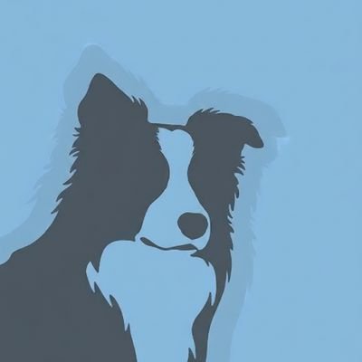 GalaLane51405's profile picture. 23届，AI出海小白，争取能够自由