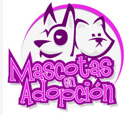 Somos un grupo que entrega en adopción perros y gatos que fueron abandonados o maltratados. En 25 años dimos mas de 7000 animales en adopción.