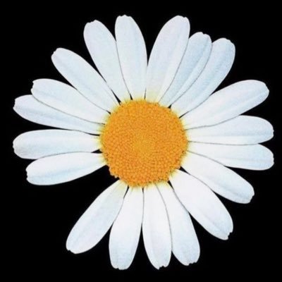 tomo6870486464's profile picture. 