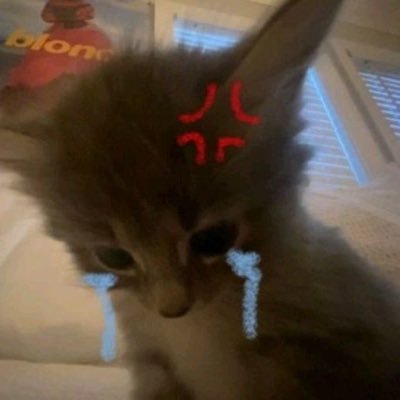 siryeonn's profile picture. ㅅㄲㄹㅇ