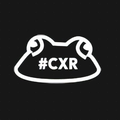 🚀 CryptoXR — Le rendez-vous annuel du Web3 et de l'IA à Auxerre 🇫🇷 • Conférences, innovations et networking autour de l’avenir de l'écosystème 🌍