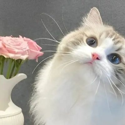 Huyenvo313's profile picture. 