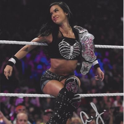 FAKE parody WWE roleplay #AJLee that is nice account so my fans ✌️ so let's talk better on here