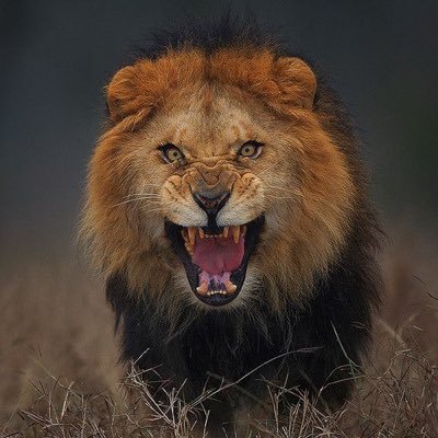 wilLia3213's profile picture. Marathon Runner

🏃‍♂️ Mile after mile
🔥 Running fuels my spirit
⏱ Slow progress not no progress
🌍 Roads are my arena
🏅 Finish lines not excuses