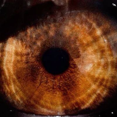 holocenemm's profile picture. 