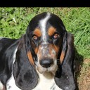 gretchen gray - @ggrayrx - Twitter