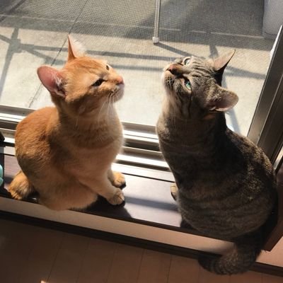 pyara0527's profile picture. LADYBABY 神黎ミア(@Mia_ladybaby) · No escape from Mia · No reason · Just love ·