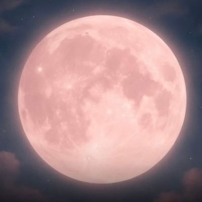 CTH15_08's profile picture. What’s even happening right now?