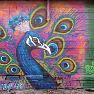 NicolaBruc97658's profile picture. 