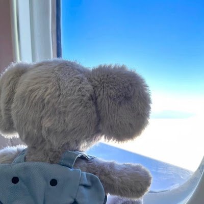 xingzewu24's profile picture. undergraduate @dut