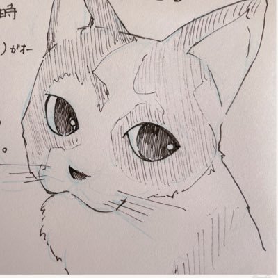 そうだゲーム垢にしよう🎮😗原神、崩壊スターレイル、ゼンゼロ、NIKKE、ウィズダフネなどなど TECHNO、PUNK好き