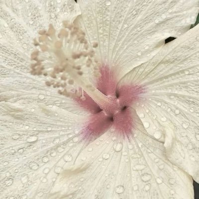 ͏ ͏ ͏ ͏ ͏ ͏͏ ͏ ͏ ͏͏ ͏ ͏ ㅤㅤ ͏ ͏ ͏ ͏ ͏ ͏͏ ͏ ͏ ͏͏ ͏ ͏ ͏ ͏ ͏ ͏ ͏ ͏͏ ͏ ͏ ͏͏ ͏ ͏ ͏ ͏͏ ͏ ͏ ͏͏ ͏ ͏ ͏ ͏ ͏ ͏ ͏ ͏͏ ͏ ͏͏ ͏ ͏ ͏ ͏ ͏ ͏ ͏ ͏͏ ͏ ͏ ͏͏ ͏ ͏ ㅤㅤ ͏ ͏ ͏ ͏ ͏ ͏͏ ͏ ͏