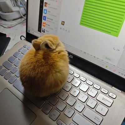 U3XuIPTcKhDBxIs's profile picture. 씹덕화이팅