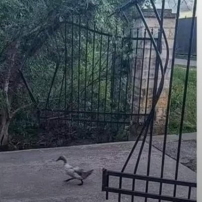 Fin contemplateur de mon époque, je la commente avec un humour aussi subtil que mordant*
Troll autodiag
Je n'ai rien à vendre
*conditions apply